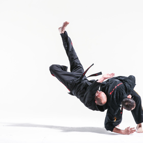 Jujitsu 3 — figure reference